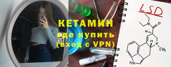шишки Дмитриев