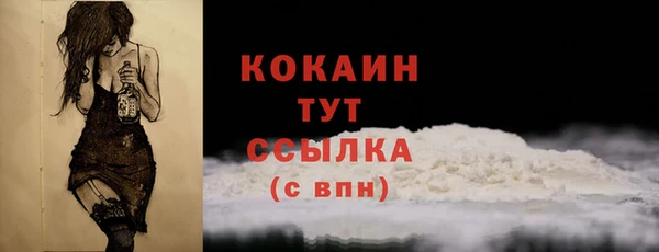 ECSTASY Богородицк