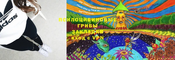 ECSTASY Богородицк