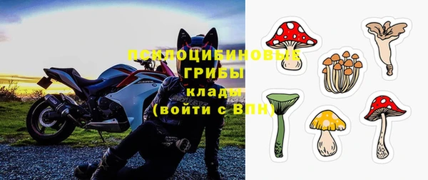 СК Богородск