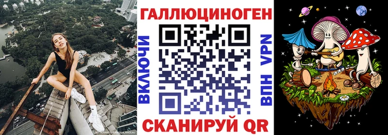 Псилоцибиновые грибы Psilocybe  магазин  наркотиков  МЕГА зеркало  Минусинск 
